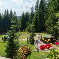 Leśna bacówka – idealne miejsce na relaks w sercu natury