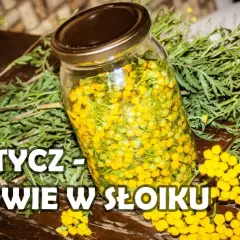 Jak zrobić nalewkę z wrotyczu - prosta receptura na zdrowie