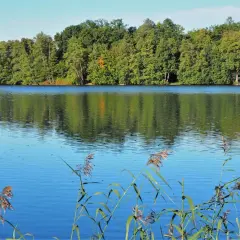 Jezioro w Łagowie: wszystko, co musisz wiedzieć o atrakcjach i rekreacji