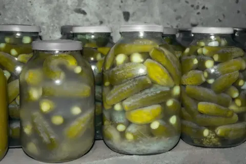 Kiedy kisić ogórki, by uniknąć nieudanych przetworów i cieszyć się smakiem