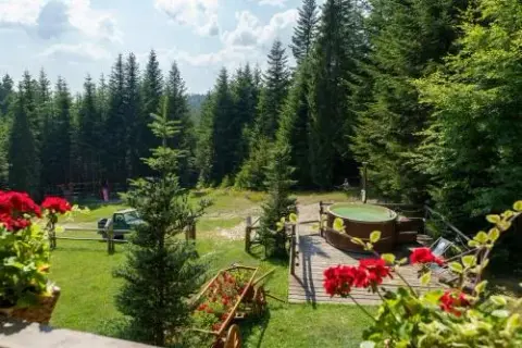 Leśna bacówka – idealne miejsce na relaks w sercu natury