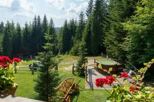 Leśna bacówka – idealne miejsce na relaks w sercu natury