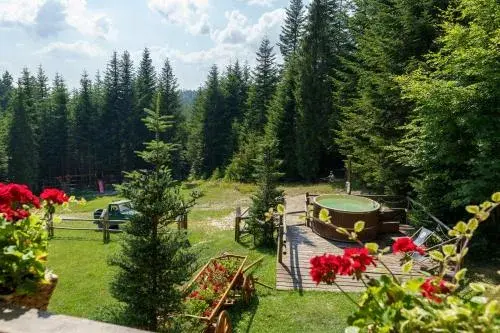 Leśna bacówka – idealne miejsce na relaks w sercu natury