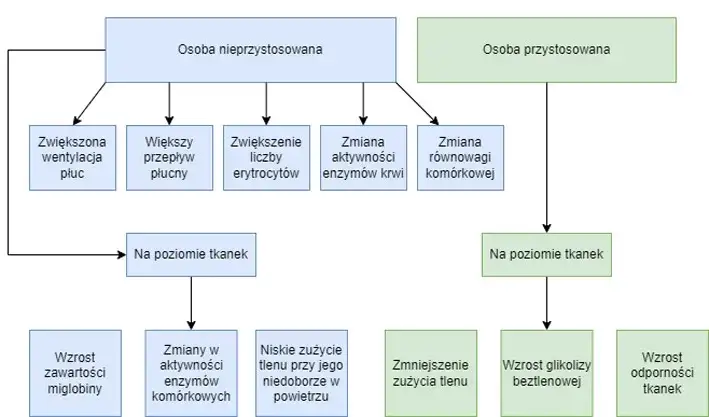 Zdjęcie Jakie jest ciśnienie w górach i jak wpływa na zdrowie? Praktyczne porady dla turystów
