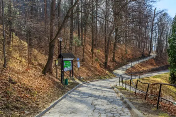 Ile czasu zajmuje wejście na Górę Parkową? Sprawdź szlak i atrakcje